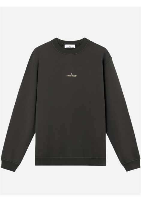 Sweatshirt Stone Island Stone Island |  sweatshirts | S156100018S0195V0062